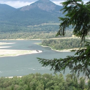 Kelly Springer Photo 20