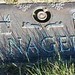 Charles Nagel Photo 11