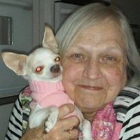 Anna Griffin Photo 37