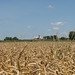 Kelly Wheat Photo 30