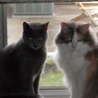 Debra Lester Photo 16