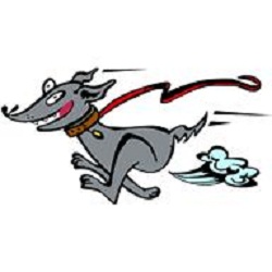 Cathleen Thomas Photo 12