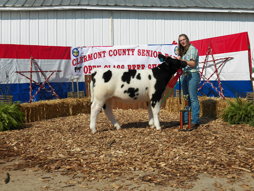 Jill Jennings Photo 35