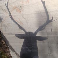 Keith Atkin Photo 15