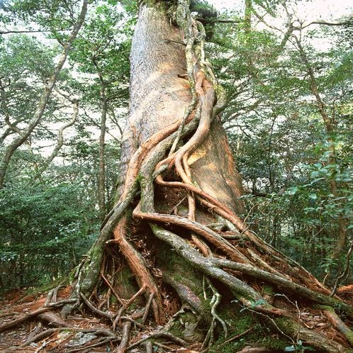 Joel Moore Photo 18 Joel Moore Photo 18