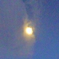 Karl Lindstrom Photo 15