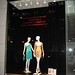 Diane Dion Photo 4