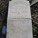 James Gwin Photo 23