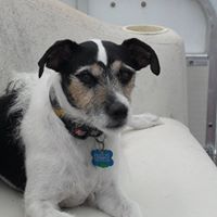 Tracy Stanfield Photo 13