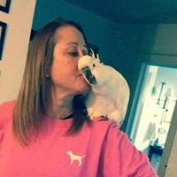 Judy Monroe Photo 8 Judy Monroe Photo 8