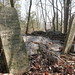 Elizabeth Vance Photo 39