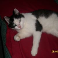 Nancy Earle Photo 16