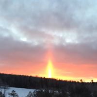 Diane Chapin Photo 16
