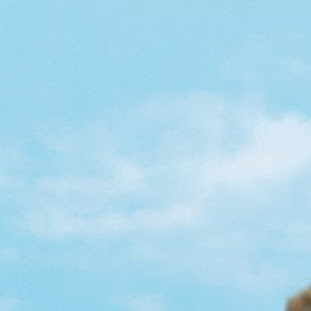 Thomas Peters Photo 13