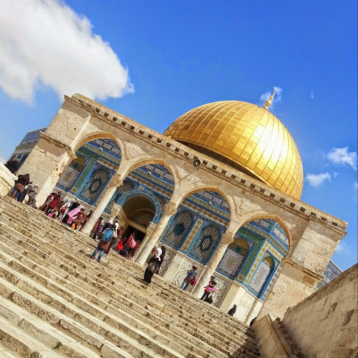 Nader Odeh Photo 6