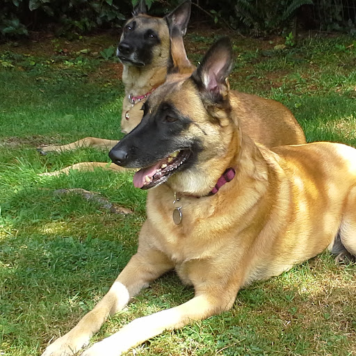 Julie Maxwell Photo 20