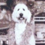 Delilah Harris Photo 11