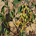 April Griffeth Photo 11