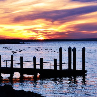 John Garber Photo 47