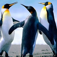 Sean Kemp Photo 30 Sean Kemp Photo 30