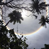 Rachel Elliott Photo 28