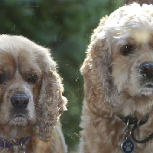 Colleen Terry Photo 16