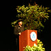 Carol Friedman Photo 15