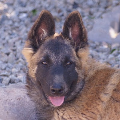 Kristi Smith Photo 51