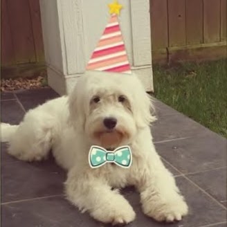 Amanda Joyce Photo 14