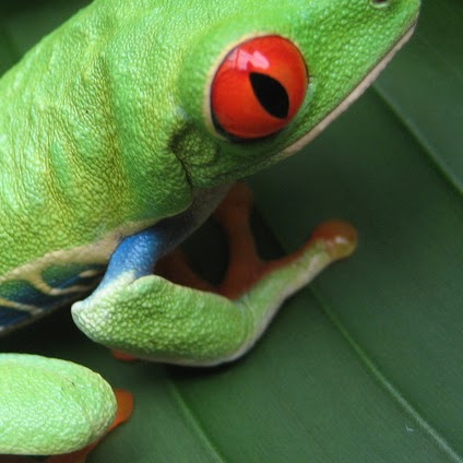 Thomas Lange Photo 20 Thomas Lange Photo 20