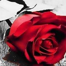 Carolyn Spence Photo 8