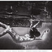 Neil Craver Photo 5