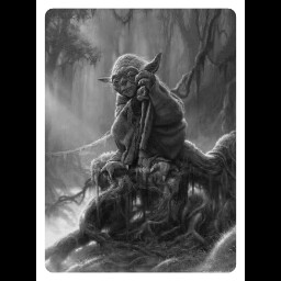 Michael Whaley Photo 31 Michael Whaley Photo 31