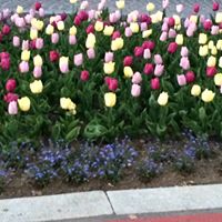 Ruth Griebenow Photo 3