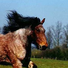 Megan Mccann Photo 19