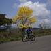 David Jimenez Photo 46
