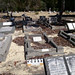 Joseph Hewitt Photo 6