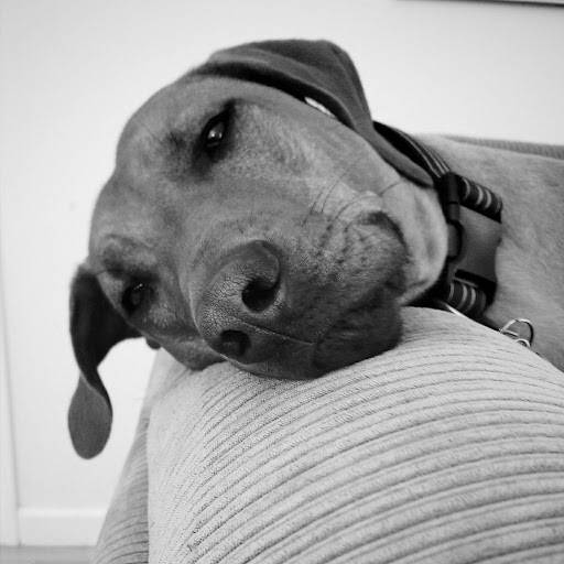 Nancy Kraemer Photo 4