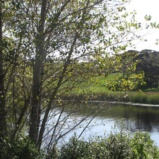 Renee Pearce Photo 8