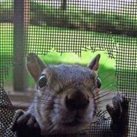 Ted Bennett Photo 15