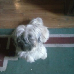 Jerry Spencer Photo 15