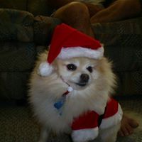 Janet Craft Photo 15