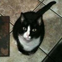 Paul Mccloud Photo 10