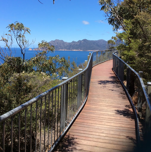 Wendy Harris Photo 29 Wendy Harris Photo 29