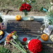 Jeremiah Carroll Photo 30