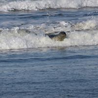 Kathryn Clark Photo 26