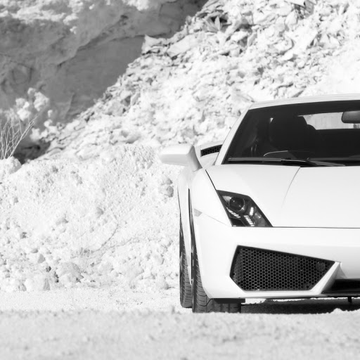 Collin Campbell Photo 9 Collin Campbell Photo 9