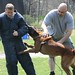 Todd Dunlap Photo 10