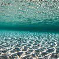 Jeffrey Feng Photo 24