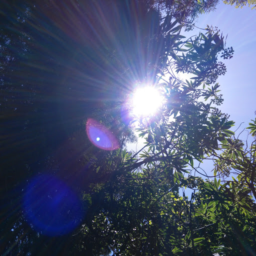 Helen Jiang Photo 19